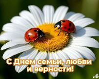 От всей души поздравляем вас с Днём семьи, любви и верности!