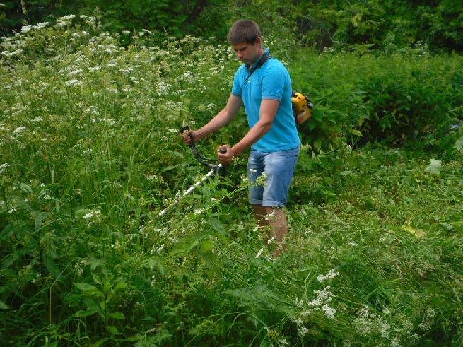 Сотрудничество
