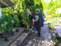 Очередная поездка в «Питомник Буньково» Очередная поездка в «Питомник Буньково»