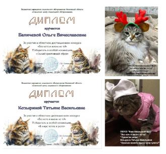  Областной онлайн - конкурс для граждан пожилого возраста «Без кота и жизнь не та!»