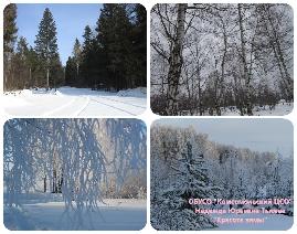 Участие в областном дистанционном фотоконкурсе «Зимние пейзажи»