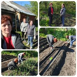  Посадка картофеля и различных овощных культур получателям социальных услуг на дому