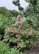  «Огородные заботы»      