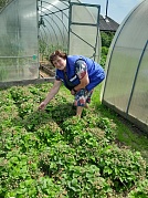 "Огородные заботы" с. Подозерский