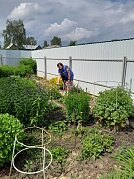 "Огородные заботы" с. Подозерский