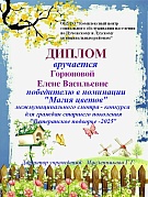 "Ветеранское подворье-2025"