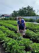 "Огородные заботы" с. Подозерский