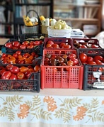  «Огородные заботы»      