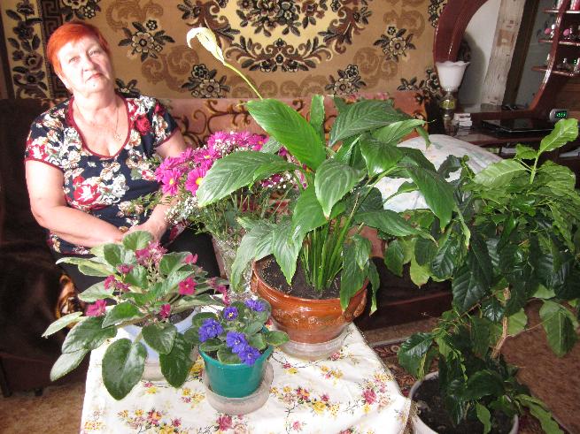 Итог конкурса «Мой цветущий подоконник»