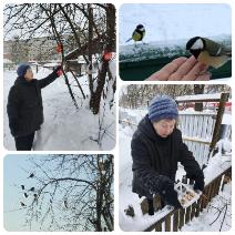 Акция «Покормите птиц»