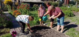 Акция «Чистый двор»