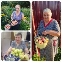 Мероприятие «Яблочный Спас»