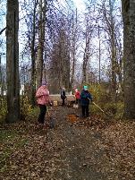 Октябрь – традиционное время наведения чистоты и порядка