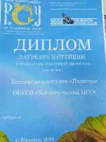 Участие в XVI Открытом областном фестивале-конкурсе «Дни Александра Роу на Юрьевецкой земле»