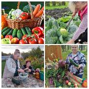 Акция «Собери урожай»