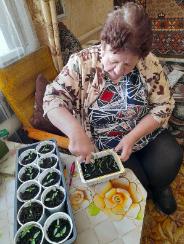 Акция "Рассада, рассада - расти как надо"