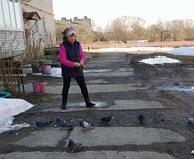 Международный день птиц