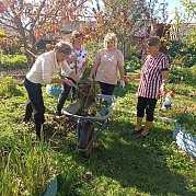 Акция «Чистый двор»