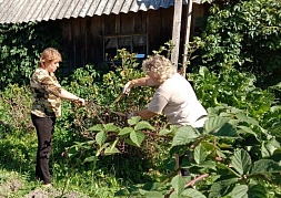 Акция «Чистый двор»