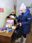 Специалист в деле (Елена Столярик)