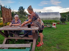 Специалист в деле (Елена Столярик)