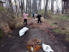 Октябрь – традиционное время наведения чистоты и порядка