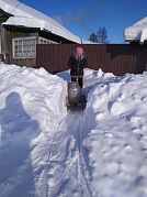 Специалист в деле (Елена Столярик)