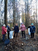 Октябрь – традиционное время наведения чистоты и порядка
